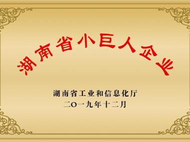 湖南小巨人企业