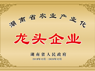 龙头企业
